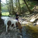 Agroturismo Willi's Bauernhof Leiben