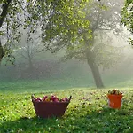 Willi's Bauernhof Agroturismo Leiben