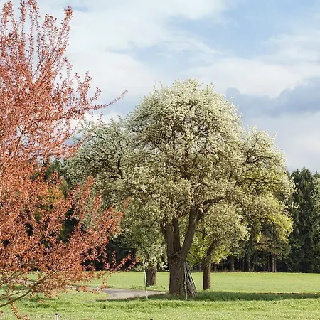 Willi's Bauernhof Farm stay Leiben