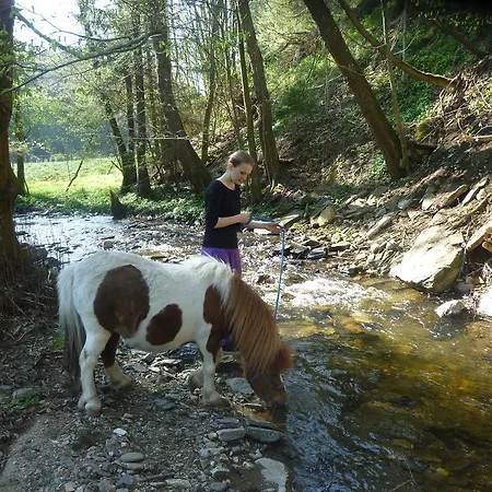 Çiftlik konaklama Willi's Bauernhof Leiben