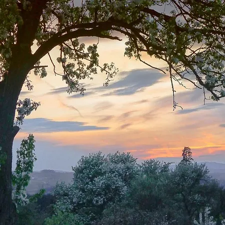 Willi's Bauernhof Leiben