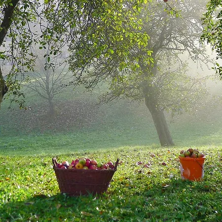 Willi's Bauernhof Farm stay Leiben
