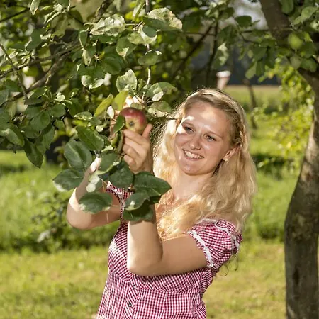 Farm stay Willi's Bauernhof