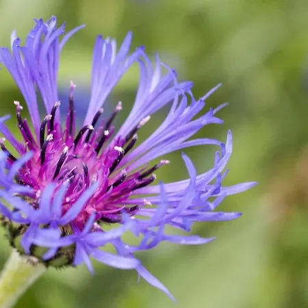 Çiftlik konaklama Willi's Bauernhof