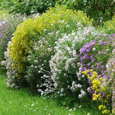 Willi's Bauernhof Leiben