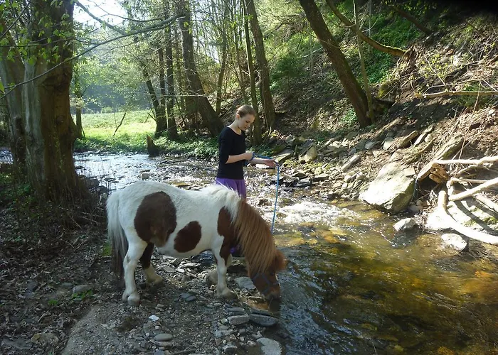 Feriegård Willi's Bauernhof Leiben