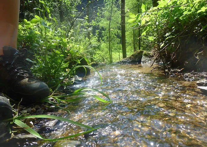 Willi's Bauernhof Feriegård *