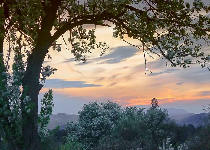 Willi's Bauernhof Leiben