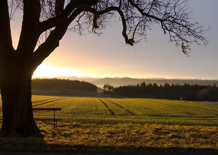 Feriegård Willi's Bauernhof