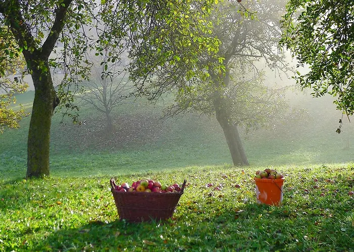 Willi's Bauernhof Feriegård Leiben