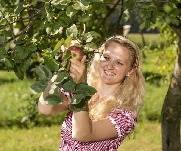 Feriegård Willi's Bauernhof