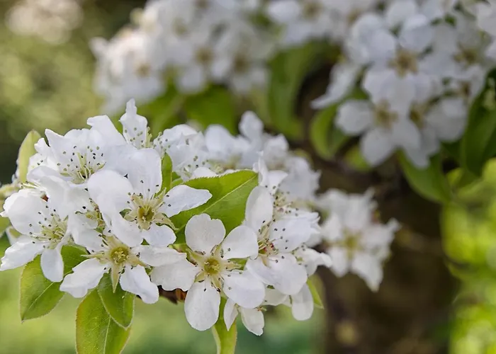 Willi's Bauernhof * Leiben