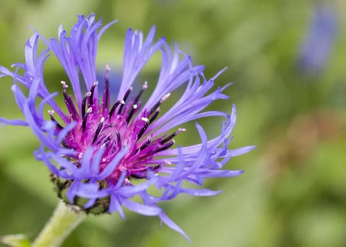 팜스테이 Willi's Bauernhof