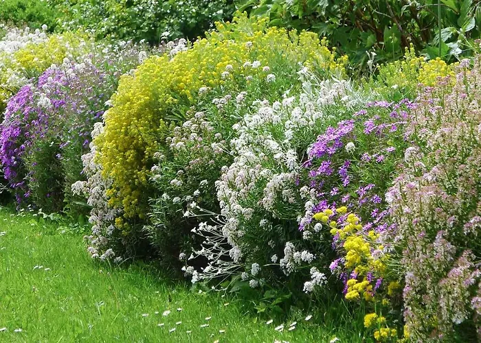 Willi's Bauernhof Leiben