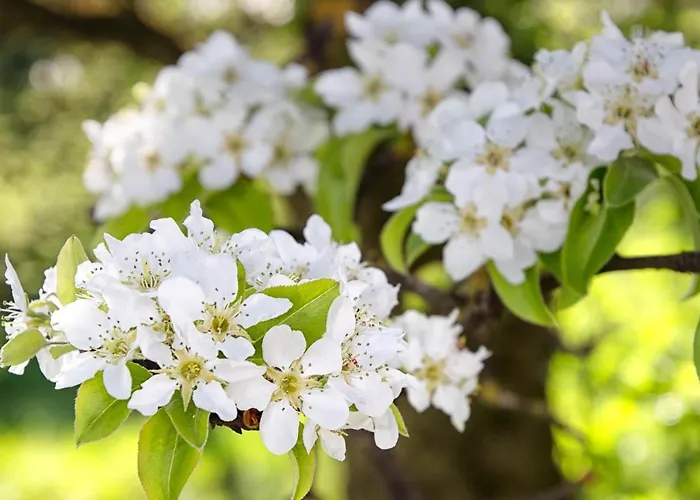 Willi's Bauernhof 팜스테이 *